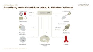 Alzheimers Disease – Epidemiology – slide 4